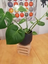 Holzsäule, Dekosäule