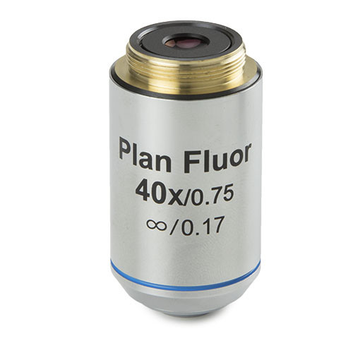 3152 euromex infinity plan - ae.3152,
