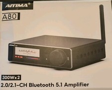 AIYIMA A80 HiFi