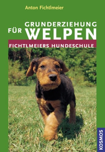 Grunderziehung für welpen - für,