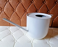 Edelstahl Gießkanne Zimmerpflanzen Blumengießkanne 900ml Gießkanne für Pflanzen