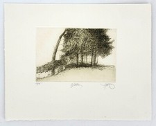 Radierung walter herzog wald - herzog,