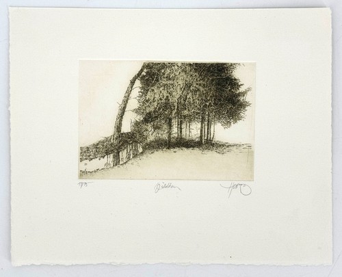 Radierung walter herzog wald - herzog,