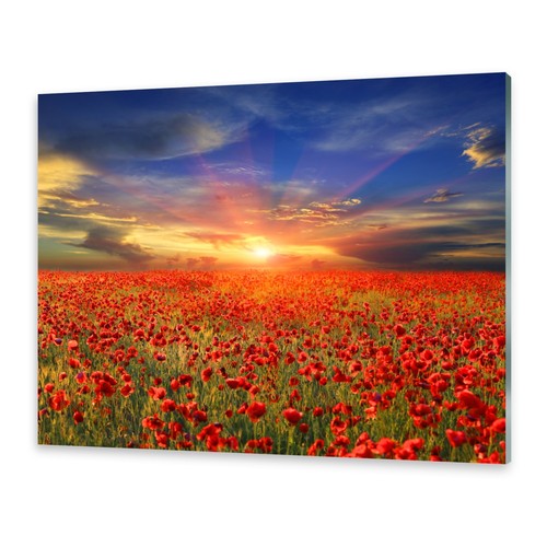 Glasbilder wandbild druck auf - druck,