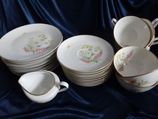 Hutschenreuther Teeservice Kaffeeservice Gedeck Favorit Blumenwiese Goldrand 27