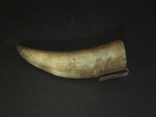 Kuhhorn Ochsenhorn mit