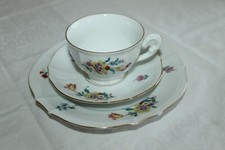 Fürstenberg  Anna Carina