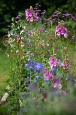 Staudenhalter Rostig Ø 50cm - Lieferung im Stück Strauchhalter Rankgerüst, Rost