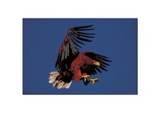 Aufnäher Adler blau Patch 9 x