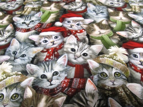 Katzen weihnachtskatzen - katzen,