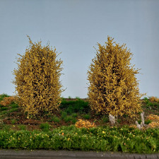 Büsche Spätherbst ca. 8-10