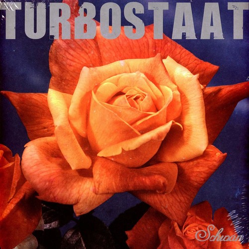 Turbostaat schwan vinyl - turbostaat, lp