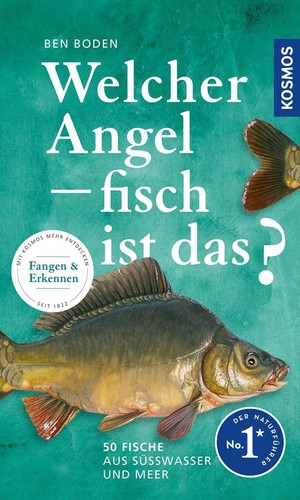Welcher angelfisch ist das - welcher,