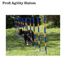 Slalom Agility