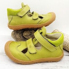 RICOSTA PEPINO EDO Gr 21 22 23