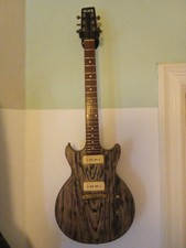 Slick Guitars SL 50 BA Les Paul Type ...Top Gitarre,3 Jahre alt,