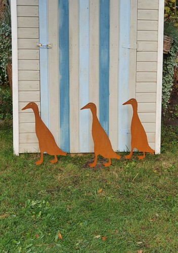 Lustige laufente ente - lustige,