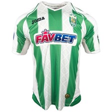 Joma FC Karpaty Lviv Trikot Matchworn #11 Bartulovic Ukraine 2013/2014 L Grün