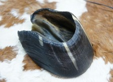 Pferdehuf Pferd Krampus