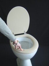 WC Sitz Polsi Soft gepolstert