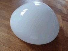 Wagenfeld Schildkröte Lindner