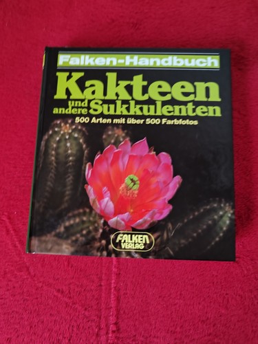 Kakteen und andere