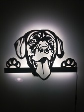 Led decorative labrador - 3d,