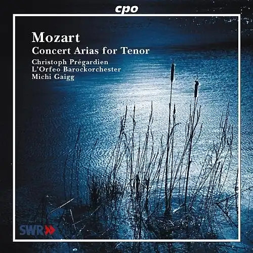 Wolfgang amadeus mozart - wolfgang,