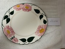 Villeroy & Boch Speiseteller Eßteller 26cm Motiv Wildrose RAR lohnt