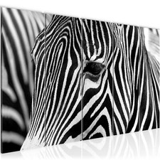 Wandbilder set afrika zebra - wandbilder,