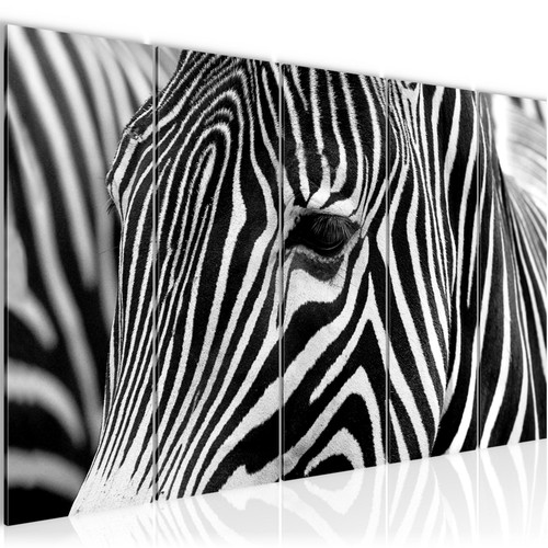 Wandbilder set afrika zebra - afrika,
