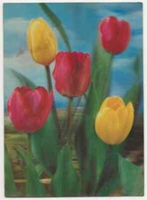 91/244 AK BLUMEN TULPEN- HALT GEGEN DAS LICHT KARTE - 3-D-OPTIK 