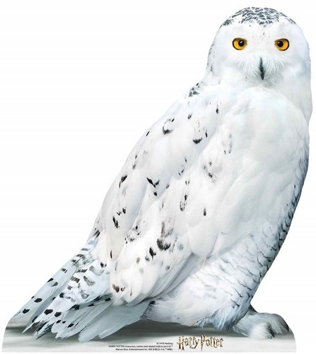 Harry potter pappaufsteller - potter,
