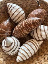 Baobab Frucht, Frucht