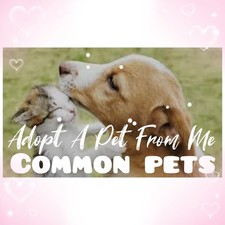 🌸 AD0PT (All Stuff FRM M3)