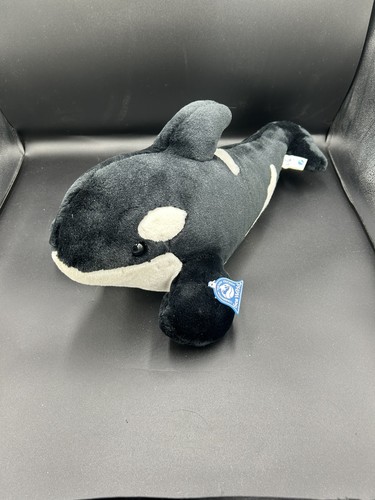 Sea world shamu - shamu, orca