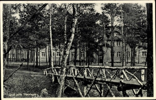 świebodzin schwiebus - Świebodzin,