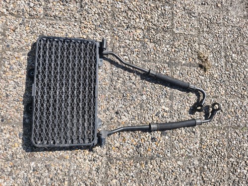 1200 bandit kult ölkühler - kult,