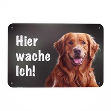 Golden retriever hundeschild - retriever,