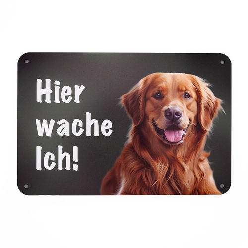 Golden retriever hundeschild - retriever,