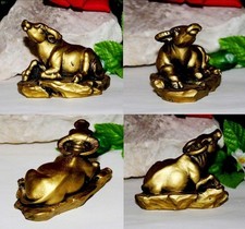 Chinesische Sternzeichen Rind