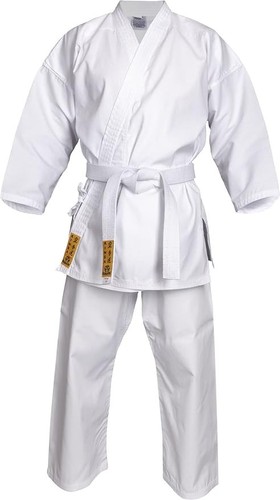 Hayashi kinsa karate neu - karate,