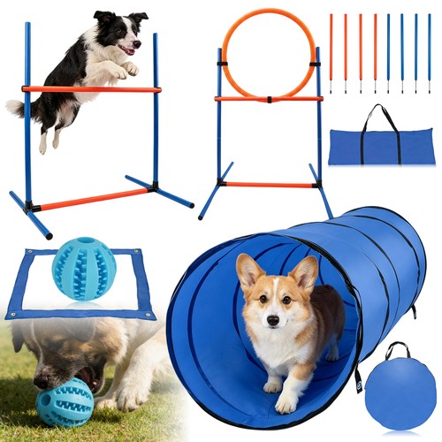 Teiliges agility training - 5-teiliges,
