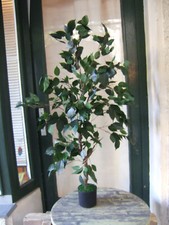 Künstliche Pflanze Ficus Benjamini ca. 1,05cm Neuheit