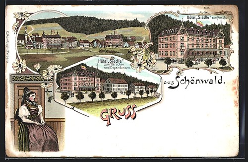 Lithographie schönwald hotel - lithographie, schönwald,