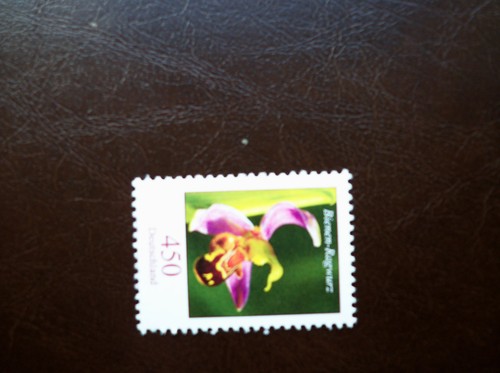Bund blumen bienen - bund,