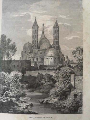 1880 druck italien padua - rk,