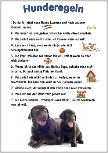 Warnschild 20x30cm - warnschild,