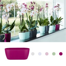 elho brussels Orchidee duo Orchideentopf Orchideenschale Pflanzschale Übertopf