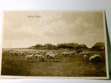 Hallig Oland / Langeneß / Schleswig-Holstein. Alte Ansichtskarte / Postkarte s/w